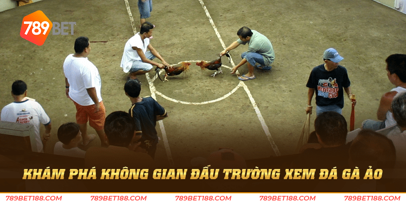Khám phá không gian đấu trường xem đá gà ảo
