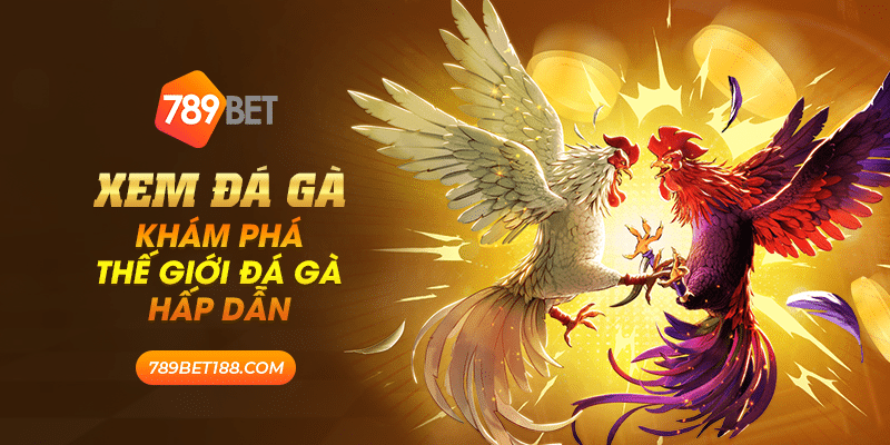 39 xem da ga kham pha the gioi da ga hap dan
