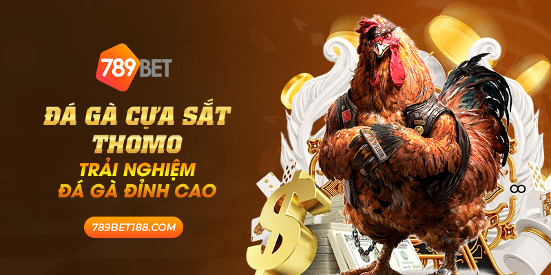 40 da ga cua sat thomo trai nghiem da ga dinh cao