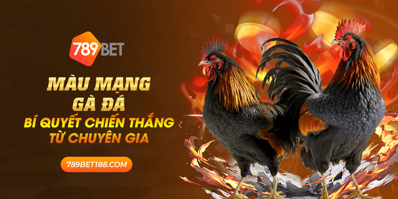 41 mau mang ga da bi quyet chien thang tu chuyen gia
