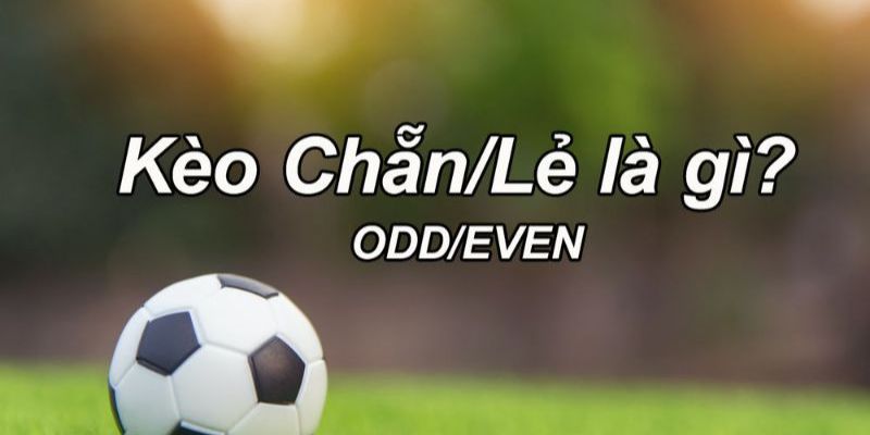Yếu tố ảnh hưởng đến kết quả bắt kèo chẵn lẻ