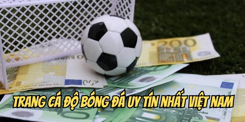 Tiêu chí lựa chọn trang cá độ bóng đá uy tín và an toàn
