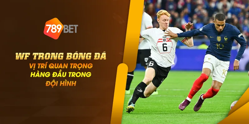 Anh dai dien wf trong bong da vi tri quan trong hang dau trong doi hinh