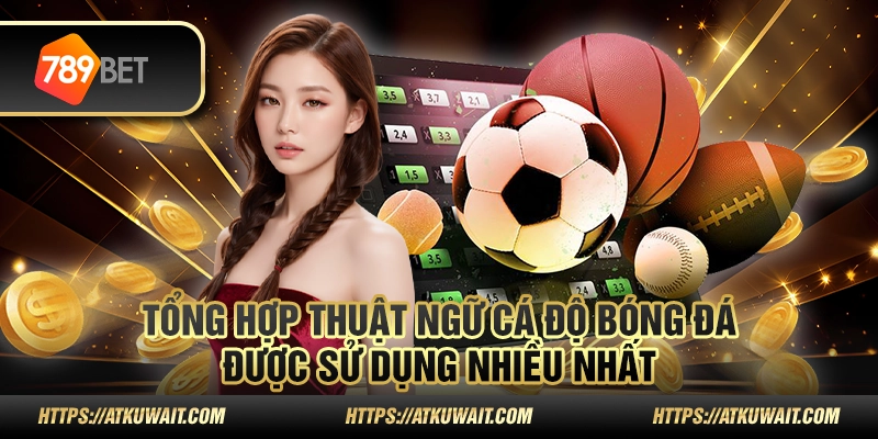 thuật ngữ cá độ bóng đá