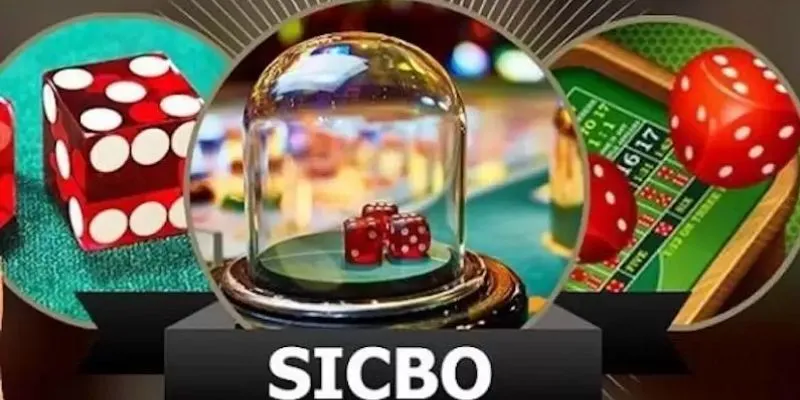 Tổng hợp các kiểu cược Sicbo phổ biến và cách tính tiền thưởng