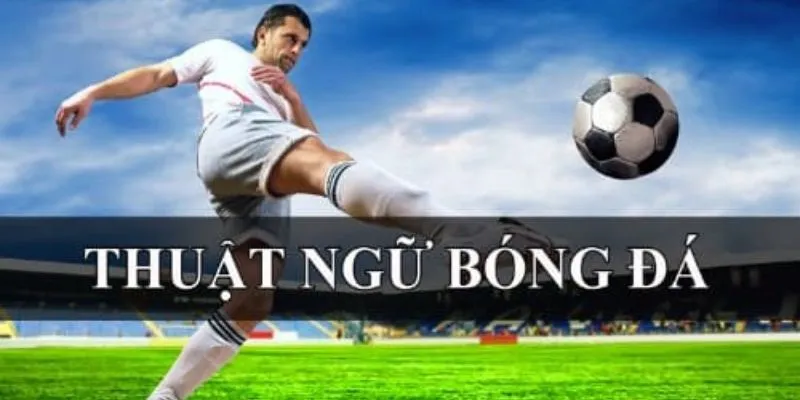 Tìm hiểu lợi ích khi hiểu rõ thuật ngữ cá độ bóng đá