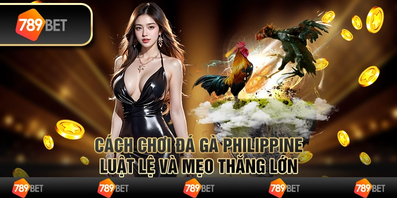 Cách đọc kèo bóng đá – Giải mã tất cả loại kèo phổ biến