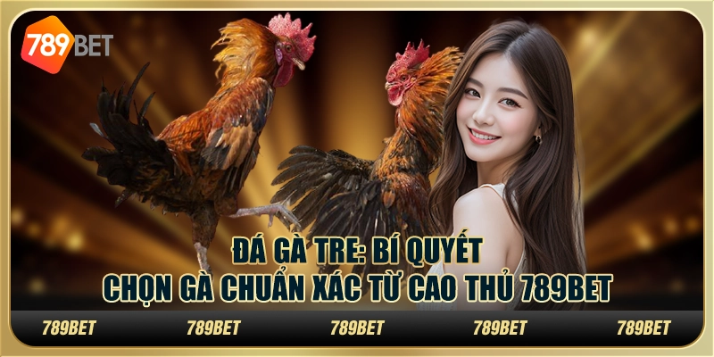 Đá gà tre: Bí quyết chọn gà chuẩn xác từ cao thủ 789Bet