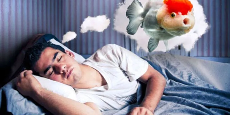 Sự liên kết của giấc mơ thấy cá với các con số tài lộc