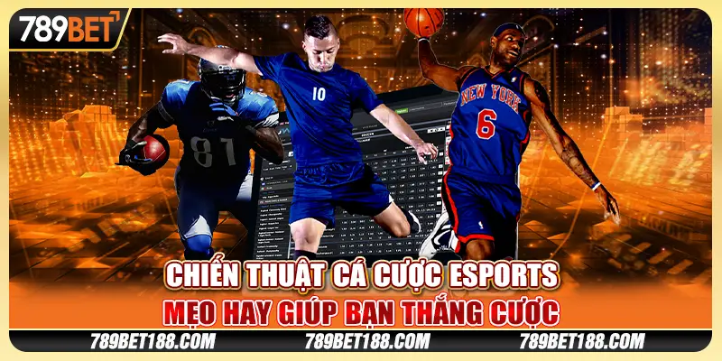 Chiến thuật cá cược Esports - Mẹo hay giúp bạn thắng cược