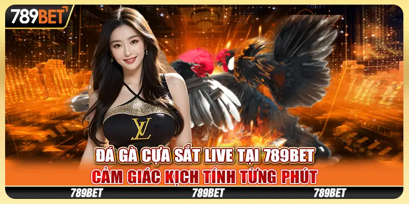 Đá gà cựa sắt live tại 789Bet – Cảm giác kịch tính từng phút