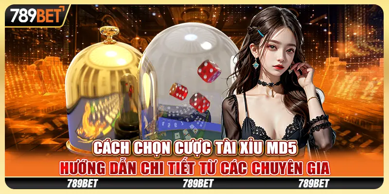 Cách chọn cược tài xỉu MD5