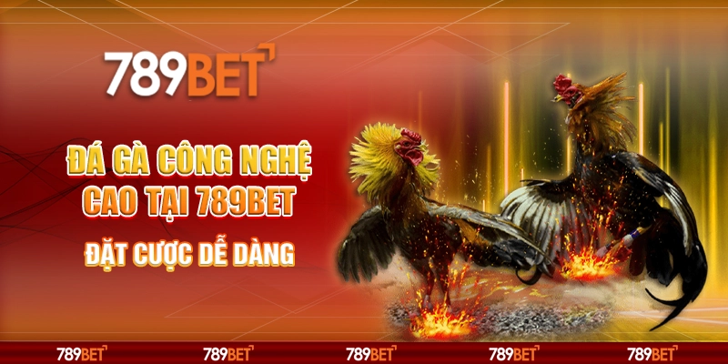 Đá gà công nghệ cao tại 789Bet - Đặt cược dễ dàng