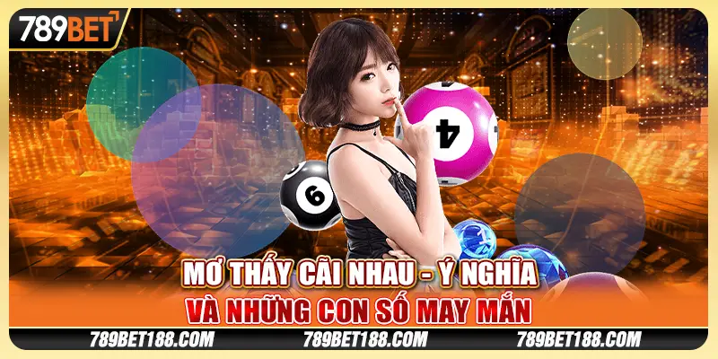 Mơ thấy cãi nhau - Ý nghĩa và những con số may mắn