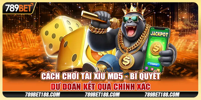 Cách chơi Tài Xỉu MD5 - Bí quyết dự đoán kết quả chính xác