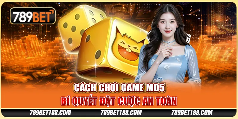 Cách chơi tài xỉu MD5 - Bí quyết đặt cược an toàn