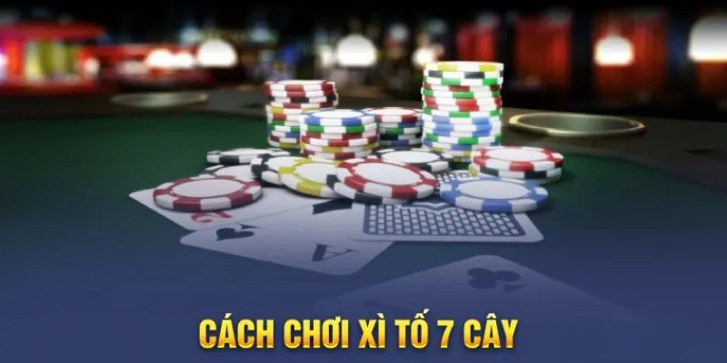 Tìm hiểu cơ bản về xì tố 7 cây