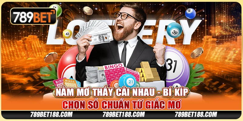 Nằm mơ thấy cãi nhau - Bí kíp chọn số chuẩn từ giấc mơ