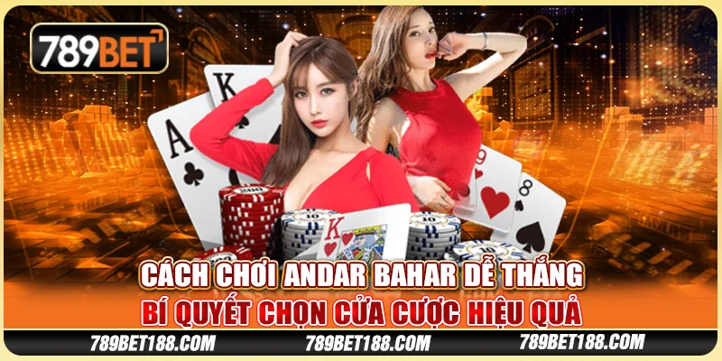 Cách chơi Andar Bahar dễ thắng - Bí quyết chọn cửa cược hiệu quả