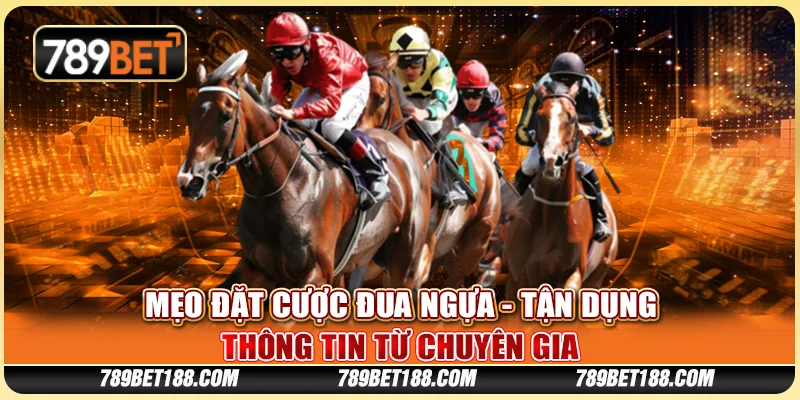Mẹo đặt cược đua ngựa - Tận dụng thông tin từ chuyên gia