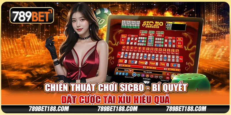 Chiến thuật chơi Sicbo - Bí quyết đặt cược tài xỉu hiệu quả