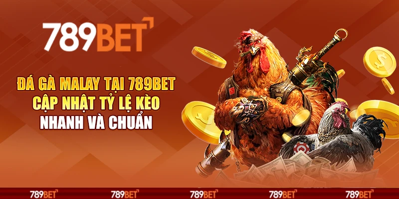 Đá gà Malay tại 789Bet - Cập nhật tỷ lệ kèo nhanh và chuẩn