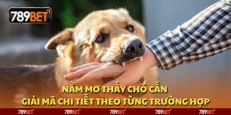 Nằm mơ thấy chó cắn - Giải mã chi tiết theo từng trường hợp