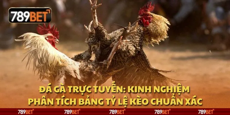 Đá gà trực tuyến: Kinh nghiệm phân tích bảng tỷ lệ kèo chuẩn xác