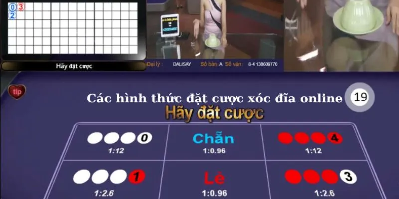 Tìm hiểu cách hoạt động của cầu xóc đĩa