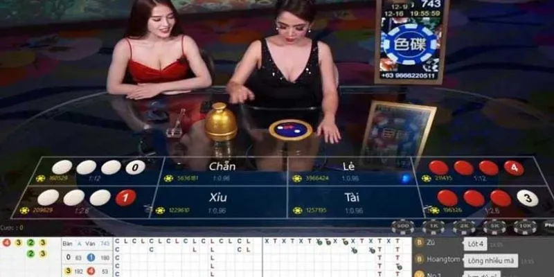 Chiến lược bắt cầu xóc đĩa từ cao thủ